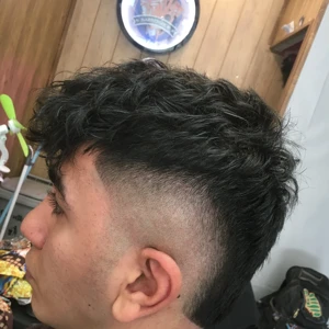 نمونه کار علی دژرفتار مالت